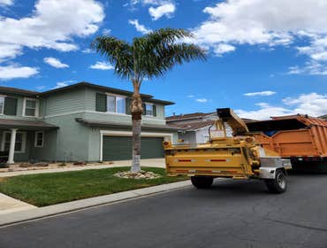 Photos by Chavezm Tree Service #20