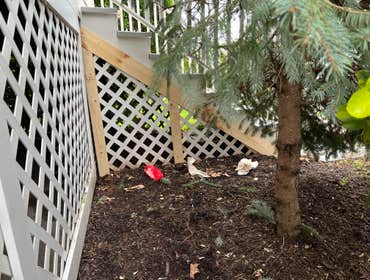 Photos by Laborers Construction Corp #1