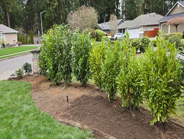 Photos by Mv Top Landscaper LLC #1