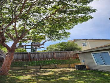 Photos by Pro M Tree Service #63