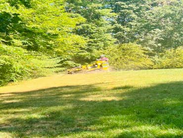 Photos by Yandi's Tree Service #2