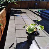 Photos by Mar Landscaping & Construction Inc #3