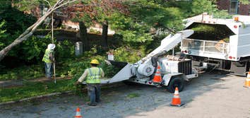 Photos by Pro Tree Service of Savannah #1