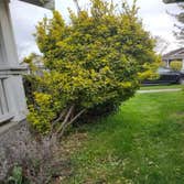 Cristian Lawn Care & Landscaping LLC