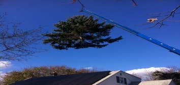 Photos by Princeton Tree Services, Inc #1