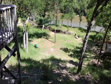 Tree Removal After