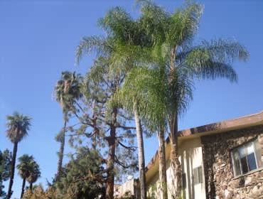 landscape project
.new automatic sprinklers & repairs//any type of outdoor plumbing
.lawn & landscape installations//sod,seed,plants,planters,trees,gr