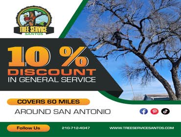 Photos by Tree Service Santos #6