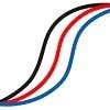 Ion Electric logo
