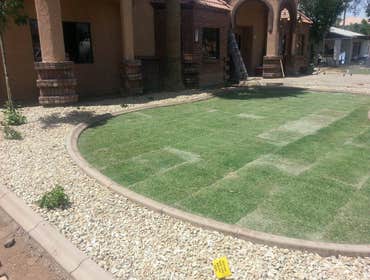 Photos from Arizona Sunscape Lawn Maintenance Llc