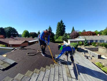Photos by Carlos Tree Service LLC #22