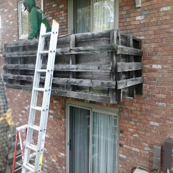 Deck( Before)