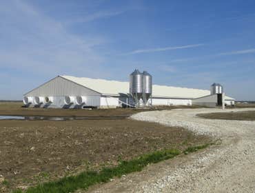 Swine Facility