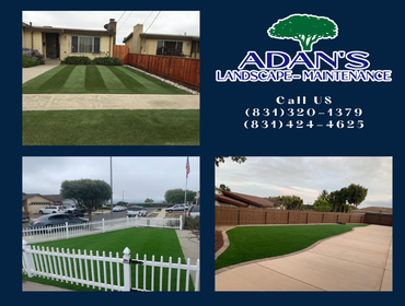 Photos by Adan's Landscape Maintenance #1