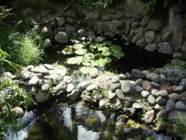 Portfolio of Water Features Some of the water features in our portfolio of completed projects include Twelve-foot waterfalls, multi-tiered water pond s