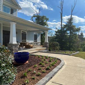 Entry Landscape