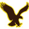 Brown Eagle Construction logo