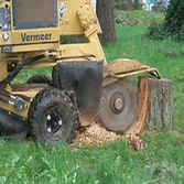 Stump Grinding