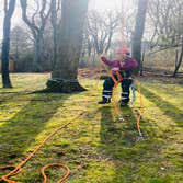 Photos by Diaz Tree Service & Landscaping LLC #4