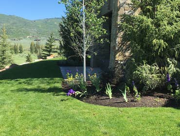Photos by Romero Landscaping #1