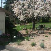 wine country stone and landscape design by quiet elegance
