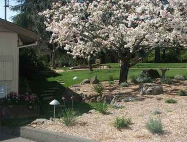 wine country stone and landscape design by quiet elegance