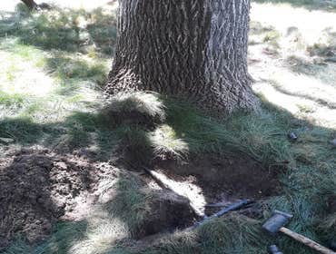 Photos by Summer Sprinklers & Repair #1