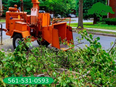 Photos by Acosta Tree Service Inc #4