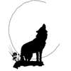 Wolfdaisy Construction Inc logo