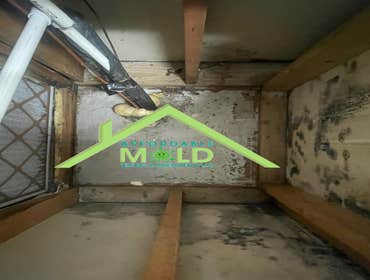Photos by Affordable Mold Testing & Assessments #3