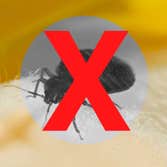 Pest Busters Omaha