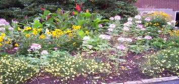 Asturi Landscaping Inc Project