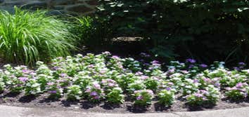 Landscaping Estes goes the extra yard to give you the best customer service possible. We take the time to understand your vision, so that together we c