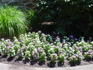Landscaping Estes goes the extra yard to give you the best customer service possible. We take the time to understand your vision, so that together we c