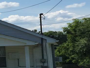 Photos by Guys Electrical Services #1