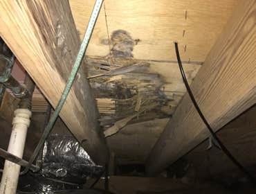 Photos from Parnell's Contracting LLC