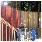 before and after photos