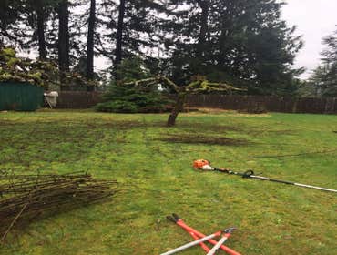 Photos by Best Cuts Lawn Care #1