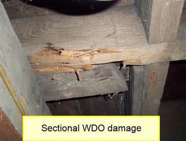 Photos by Home and Structure Inspections #1