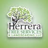 Herrera Tree Services and Landscaping LLC logo