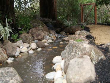 Landscaping Projects