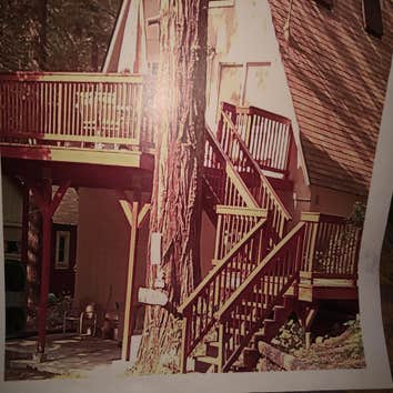 Jackson Construction