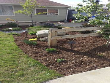 Landscaping