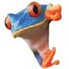 Blue Frog Construction LLC logo