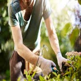 Photos by Phx Landscaping Services #1