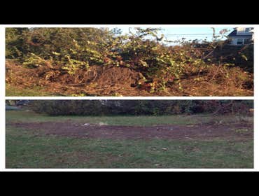 Photo(s) from Denham Lawn & Landscaping