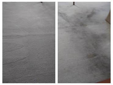 Photos from Five Star Carpet & Tile Care