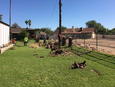 Photos by Happy Tree Landscaping #1