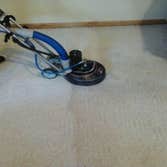 carpet cleaning in action