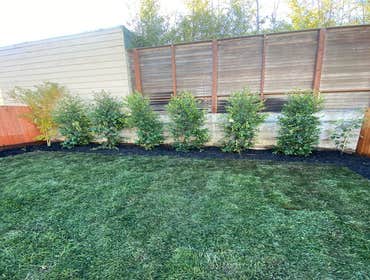 Landscaping